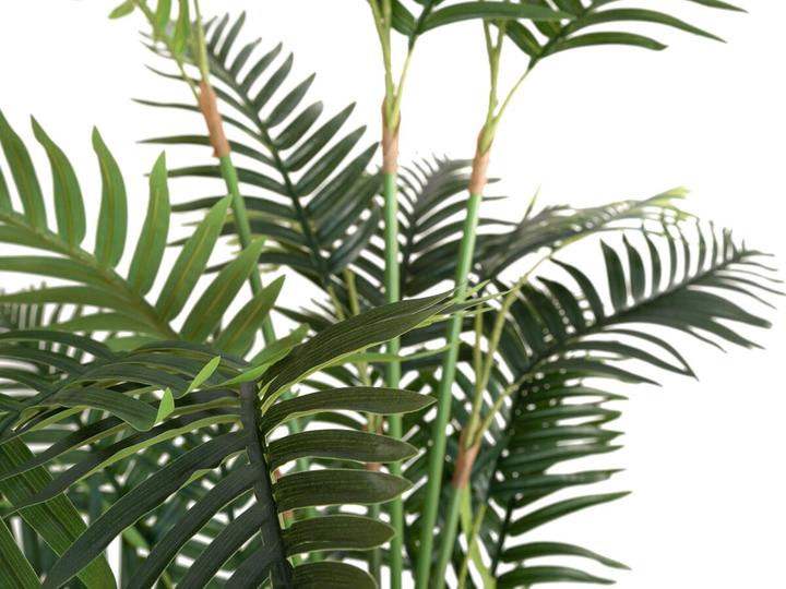 Immagine prodotto Europalms Palma Areca (180 cm)