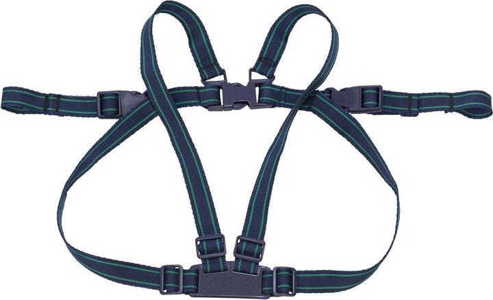 Safety 1st Running and protective belt set