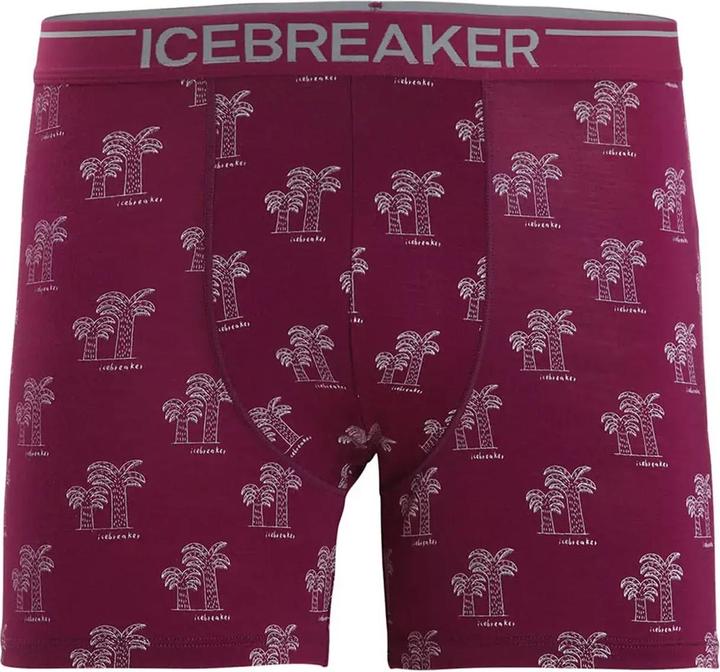 Produktbild Icebreaker Anatomica (M)