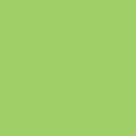 Image du produit Papyrus Papier Rainbow Vert A3 (160 g/m², 250 x, A3)