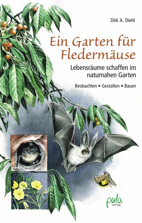 Produktbild Ein Garten für Fledermäuse (Deutsch, Dirk A. Diehl, Margret Schneevoigt, 2019)