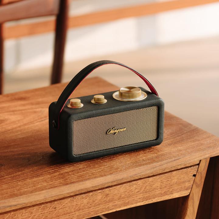 Actual product image Sangean RA-101 Rechargeable Radio FM Bluetooth®, AUX Rechargeable Black, Gold (FM, Bluetooth)