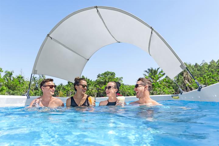 Actual product image Bestway Pool Canopy