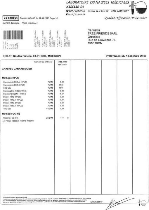 Actual product image Hash Bunnies Premium Swiss CBD Hash - Golden Piatella (7 g, Indoor)