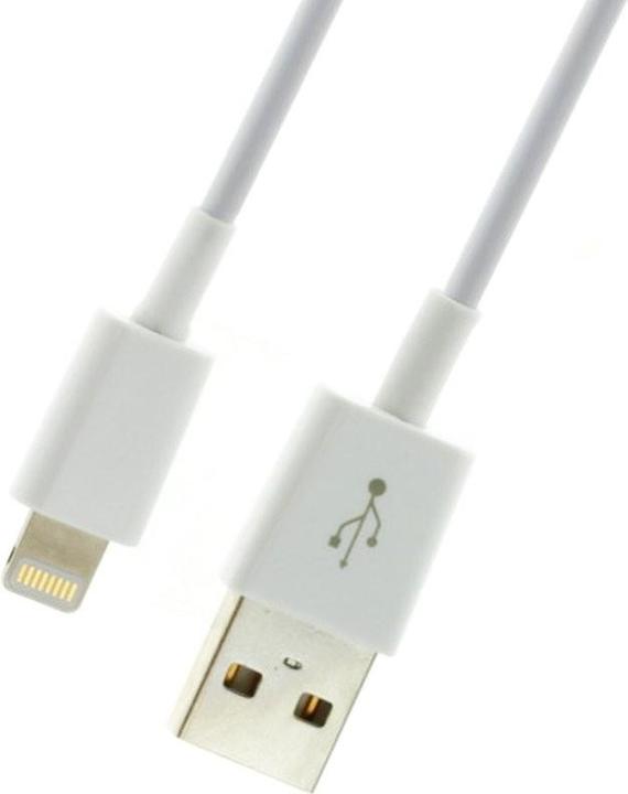 Actual product image AccuCell USB Sync & Charge Cable for Apple iPhone etc.