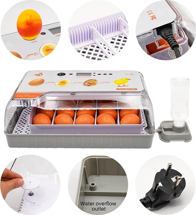 Produktbild MasXirch Inkubator