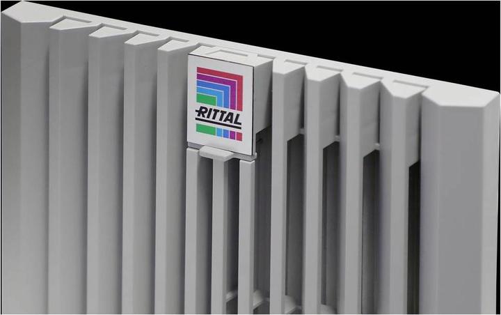 Actual product image Rittal Safety clip