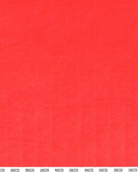 Image du produit FT Kontrollbänder Tyvec (1000 pcs)