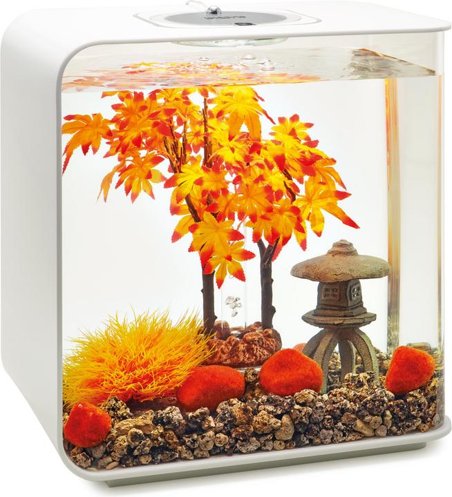 Actual product image Oase 55027 Aquarium decoration 30 l (Embellishment, other buildings)