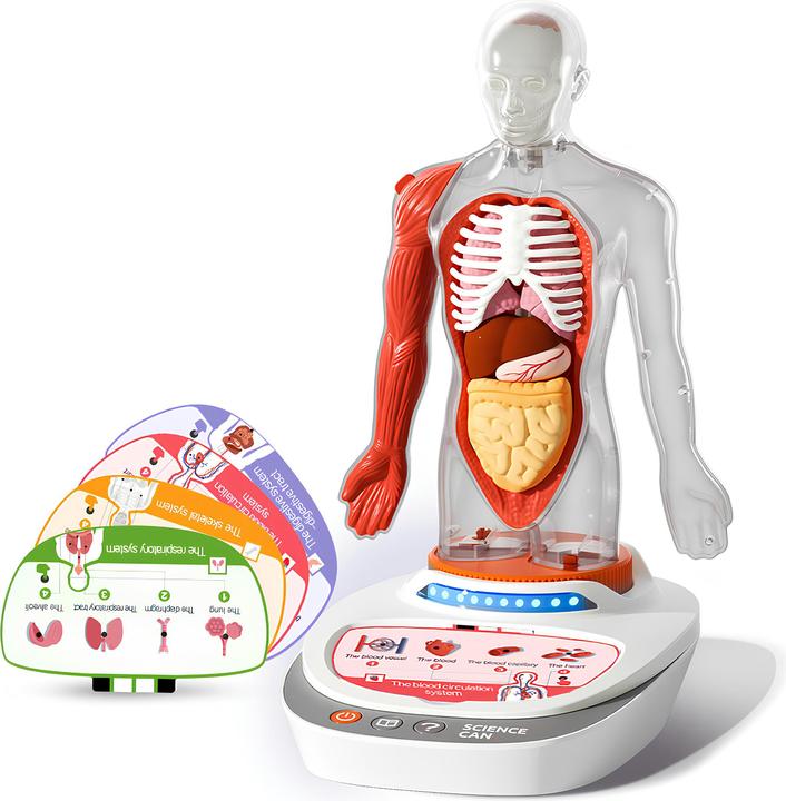 Produktbild Science Can Mein Körper - eine Wissensreise mit Quiz und Sound/ My Body Voice Pedia (Deutsch, Englisch, Französisch, Italienisch, Niederländisch, Spanisch)