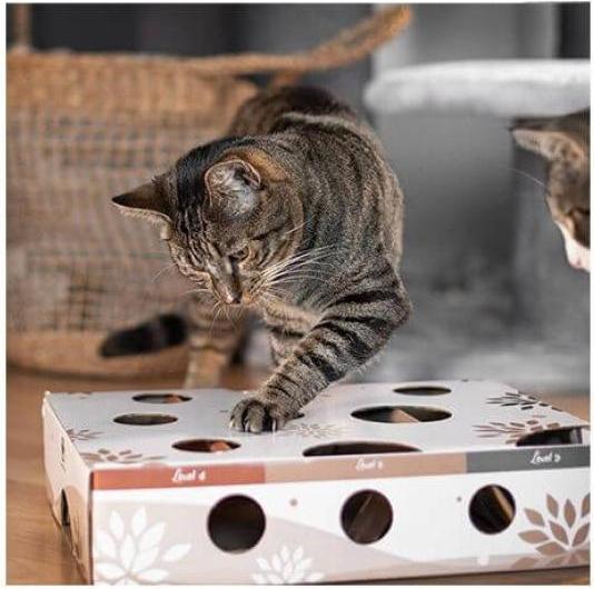 Actual product image CanadianCat Cat Strategy Game MagicBox, Brown-White (Intelligence toy cat)