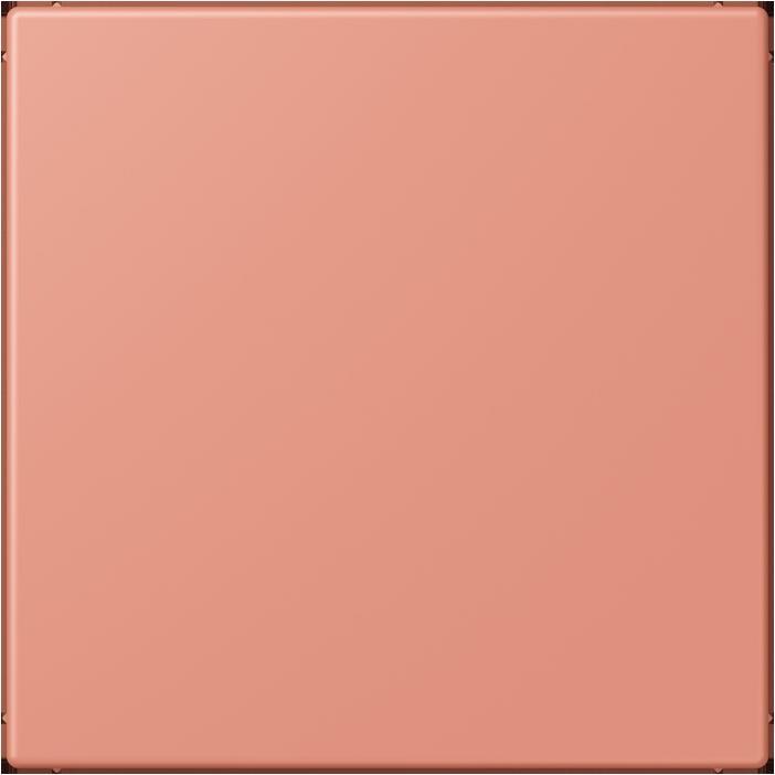 Produktbild JUNG Blindabdeckung