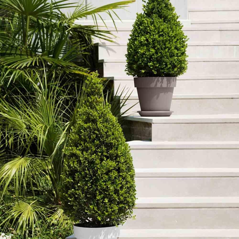 Thumbnail - Euro3plast, Blumentopf, Mitu Pac (99 cm)