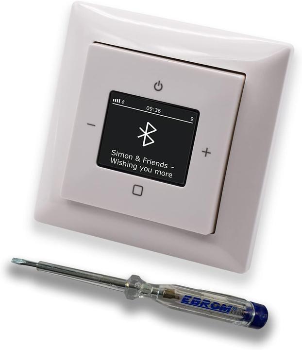 Actual product image Busch-Jaeger DAB+ Bluetooth In-Wall Radio (DAB+, FM, Bluetooth)