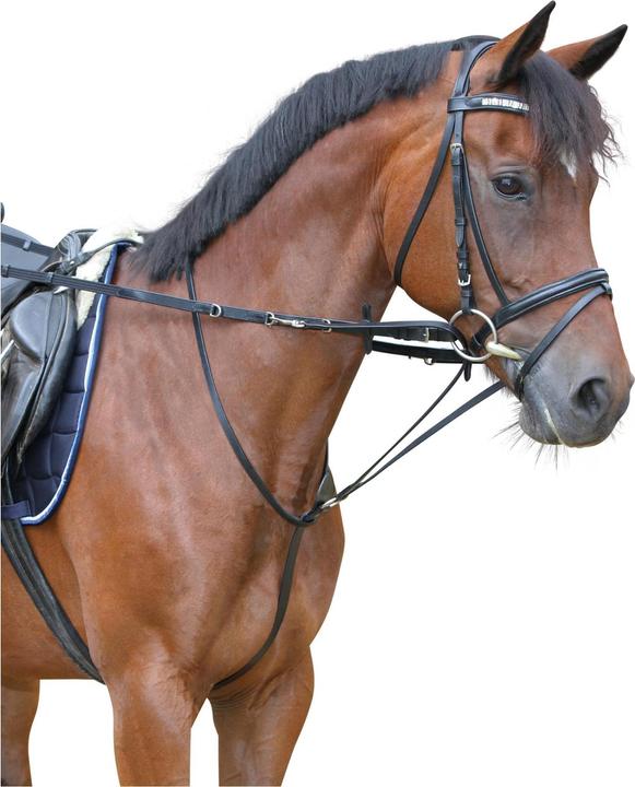 Actual product image Kerbl Thiedemann reins