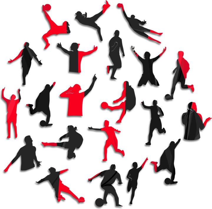 Actual product image Iconic AC Milan - Jersey - Wooden Puzzle Size M (270 pieces) (270 pieces)