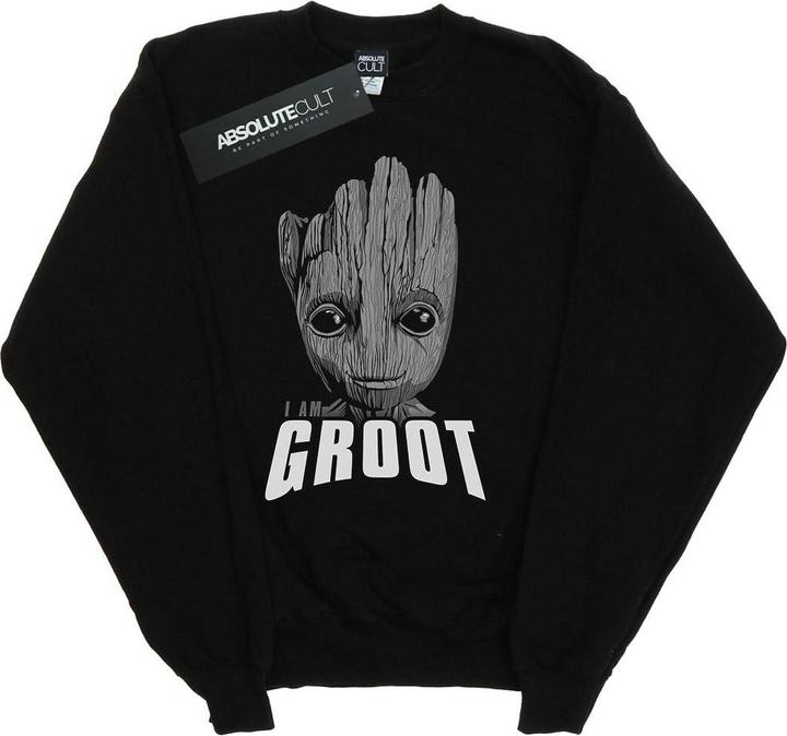 Actual product image Girls Guardians Of The Galaxy Groot Face Sweatshirt (116)