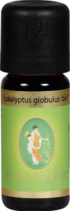 Actual product image Primavera Ätherisches Öl-Duftmischung "EUKALYPTUS GLOBULUS BIO"