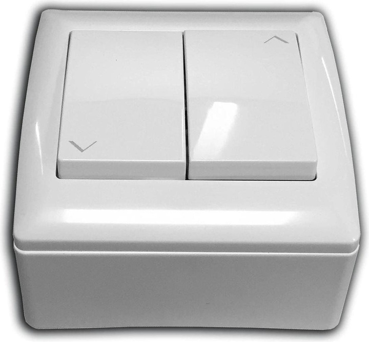 Actual product image Celexon Motor Expert XL (210", 16:10)