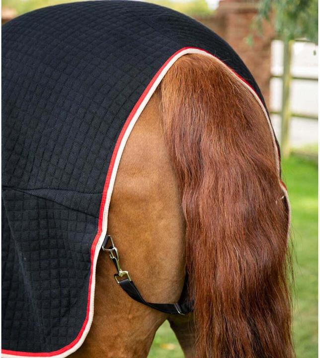 Immagine prodotto Premier Equine Premtex (191 cm)