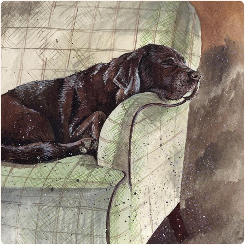 Teka, Magneti, Magnet FM228 Buddy der Hund