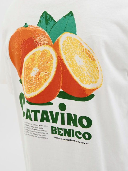 Produktbild Jack & Jones Jorbradley Fruits Tee Ss C.N Stmss25 (L)