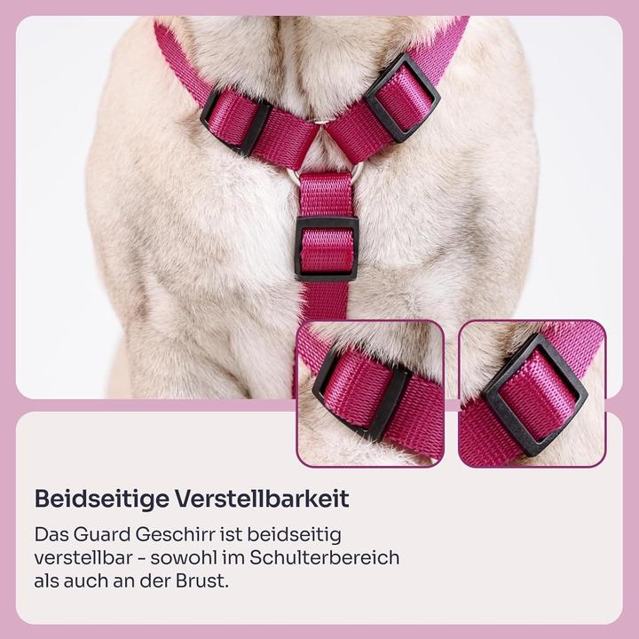 Actual product image Chaba SZELKI GUARD "L" BORDOWE 35-60 / 50-75 /2,5cm (L, Dog, Walks)