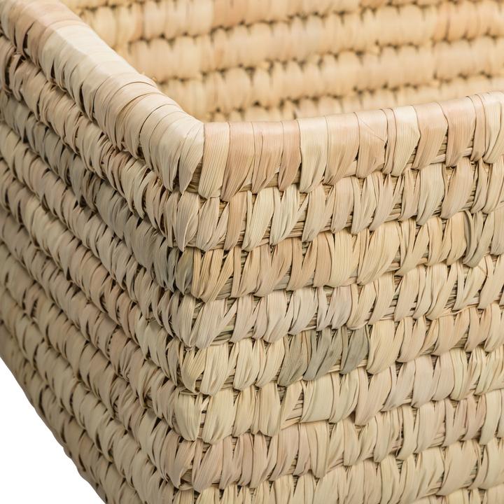 Actual product image pfister Palm (30 cm, 1x)