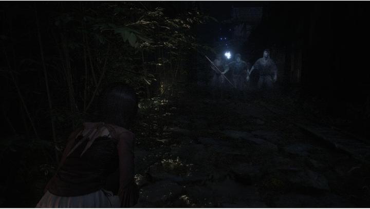 Actual product image Koei Tecmo Fatal Frame II: Crimson Butterfly Remake (PS5, DE)