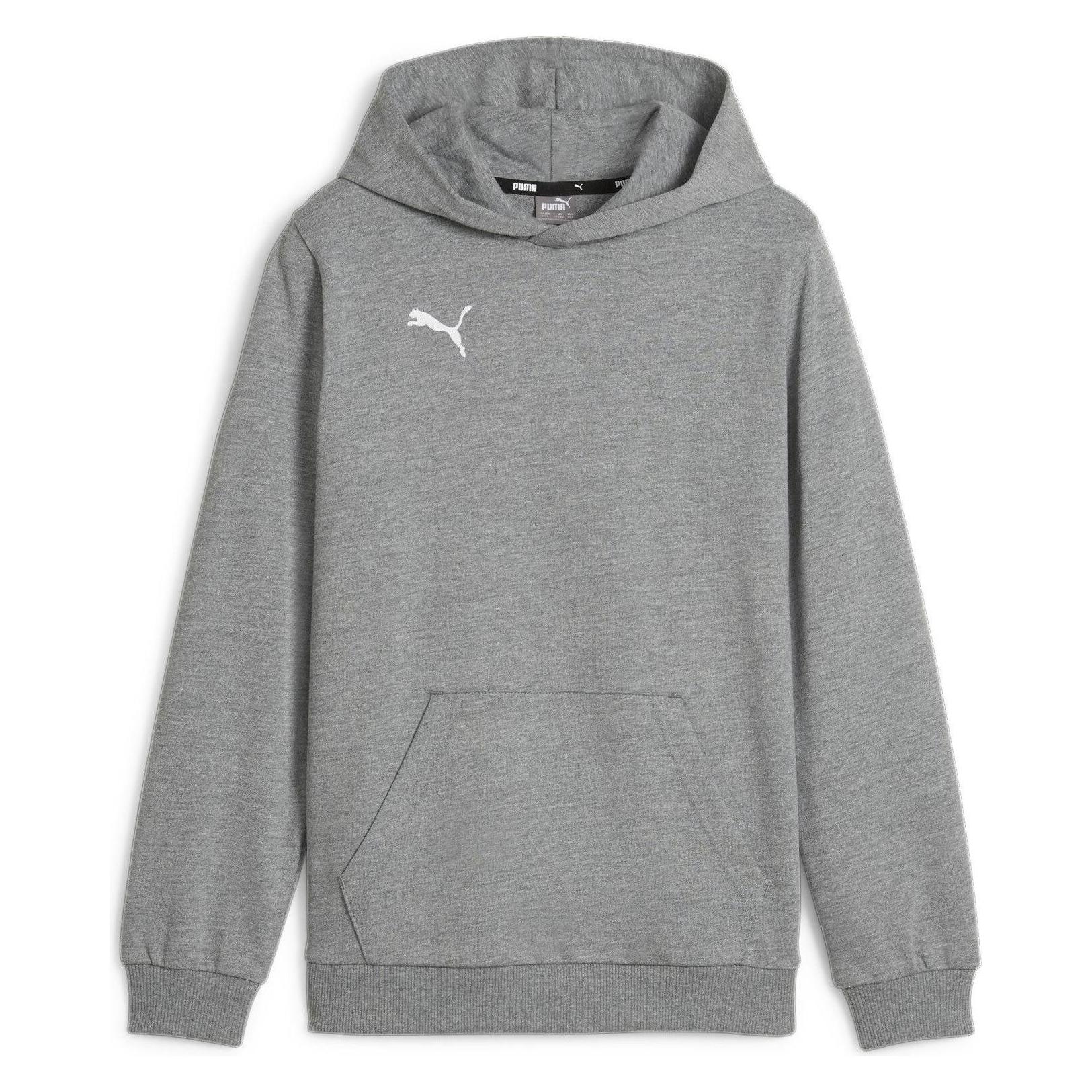 Puma, Jungen, Pullover, TeamGOAL Casuals Hoody Jr, Grau, (152)