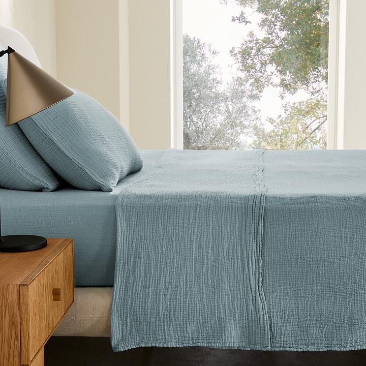 Eucalyptus vert