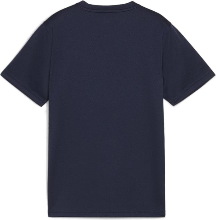 Actual product image Puma teamGOAL Jersey Jr (128)