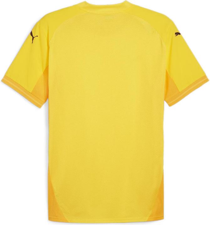 Actual product image Puma teamFINAL Jersey (XXL)
