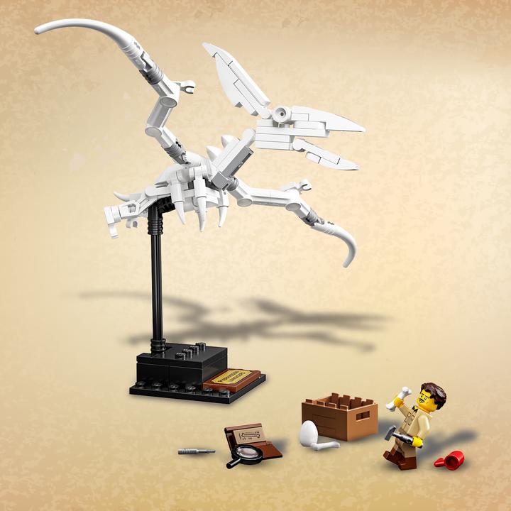 Produktbild LEGO Dinosaurier-Fossilien (21320, LEGO Ideas)