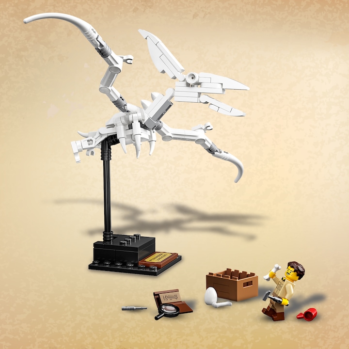 Produktbild LEGO Dinosaurier-Fossilien (21320, LEGO Ideas)