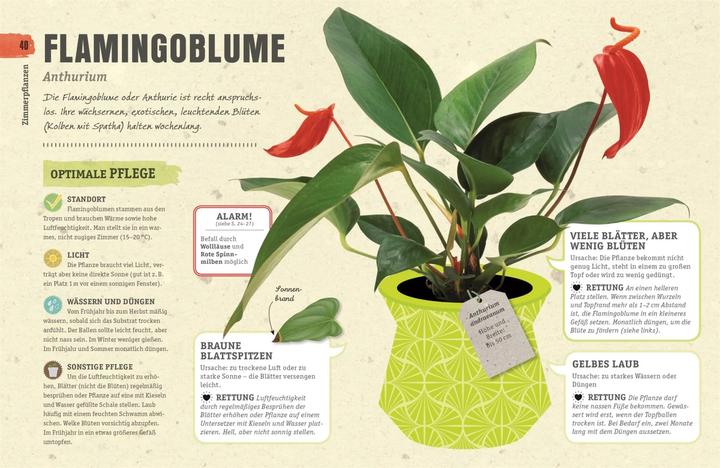 Produktbild So überleben Zimmerpflanzen garantiert (Deutsch, Veronica Peerless, 2018)