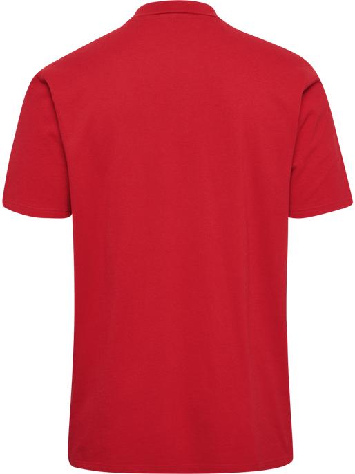Immagine prodotto hummel HMLGO 2.0 POLO (M)