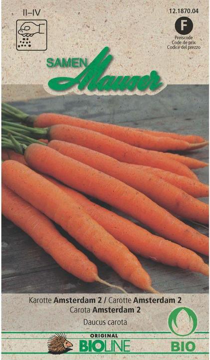 Actual product image Samen Mauser Carrot Amsterdam 2 (Vegetable seeds)