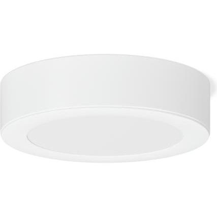 RZB, Wandleuchte + Deckenleuchte, LED-Aufbaudownlight (1650 lm)