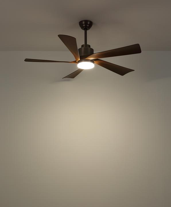 Produktbild Globo Modesto (42 dB)