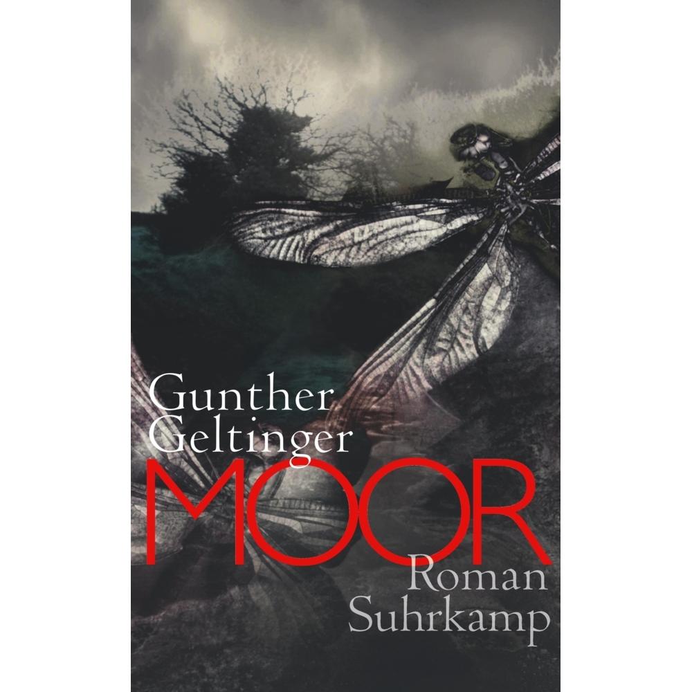 Moor, Belletristik von Gunther Geltinger