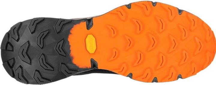 Image du produit Dynafit Chaussure de course Ultra 100 GTX (44.5)