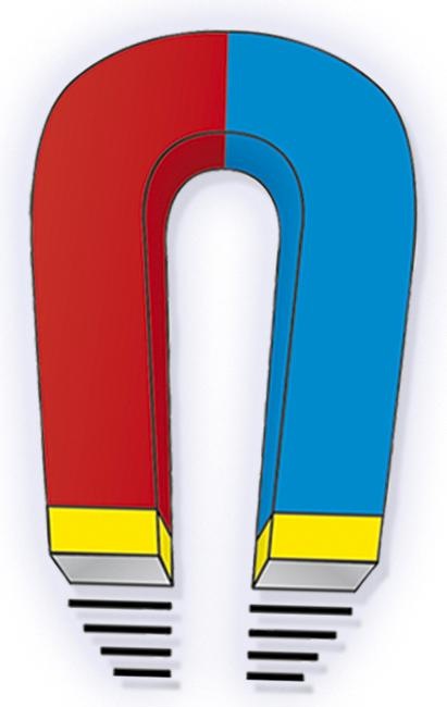 Produktbild Wenko Magnetische Scheibenabdeckung