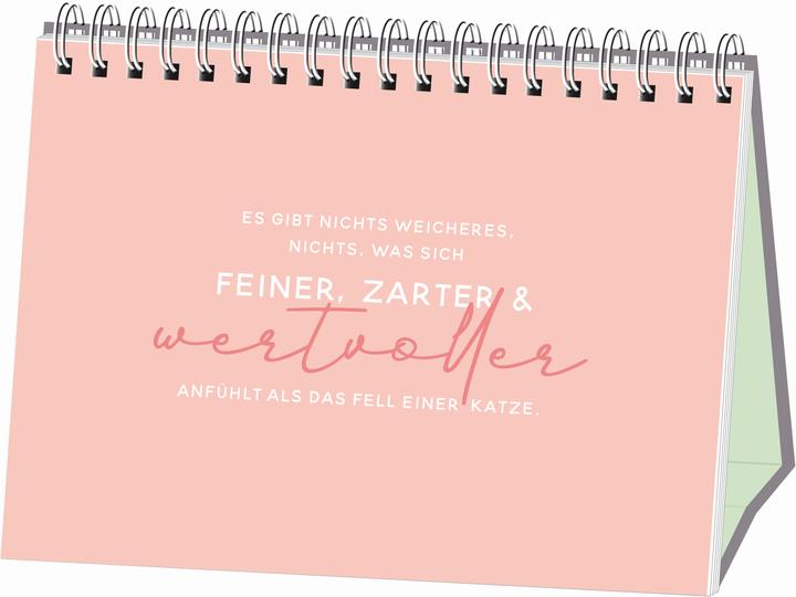 Produktbild Kleine Tiger, grosses Glück!