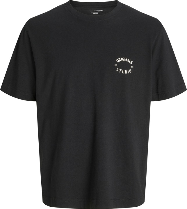 Produktbild Jack & Jones Joraustin Font Tee Ss C.N Styd Aw24 (L)