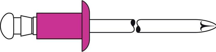 Produktbild Gesipa Blindniete Kunstoff 4 x 8