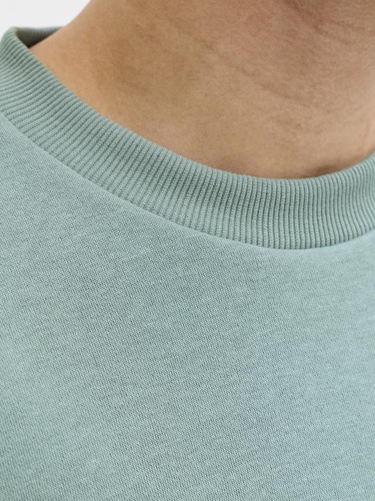 Produktbild Jack & Jones Jjebradley Sweat Crew Noos (S)