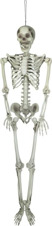 Actual product image Europalms Halloween skeleton, 150 cm