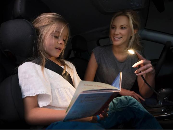 Actual product image Osram Onyx Copilot