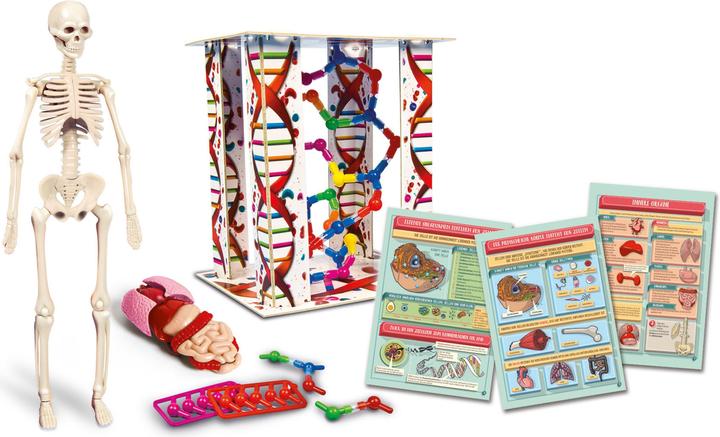 Produktbild Clementoni Menschliche Körper